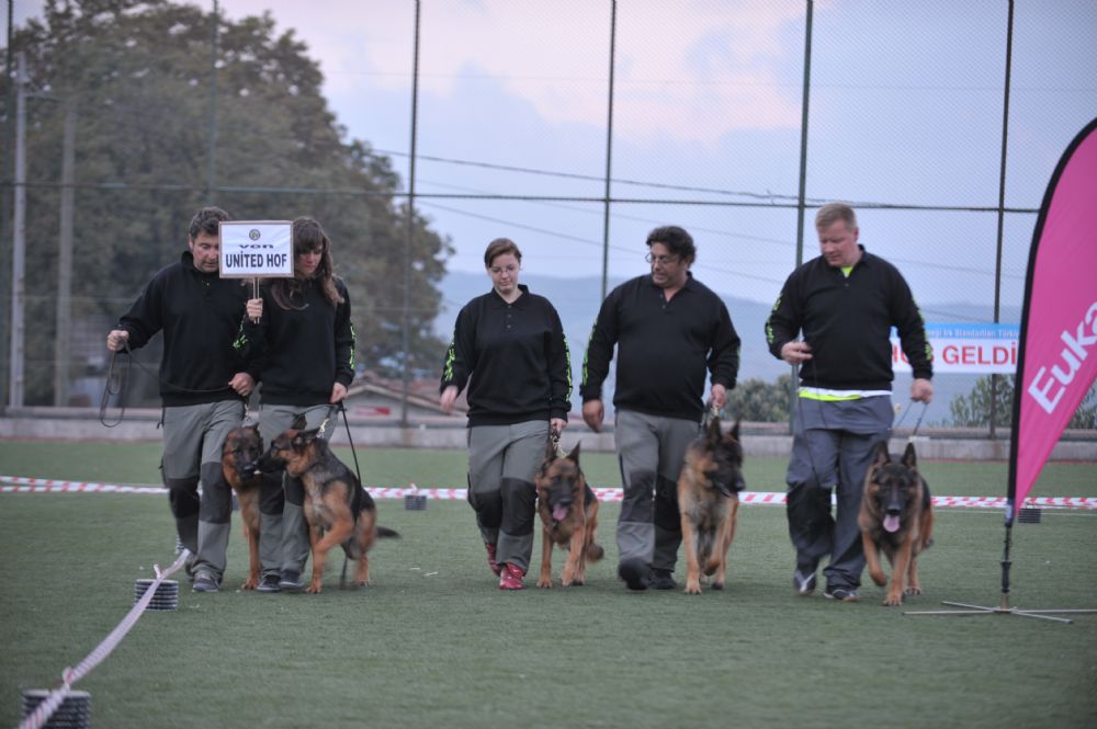 TURKEY'S LARGEST PRODUCER German Shepherd